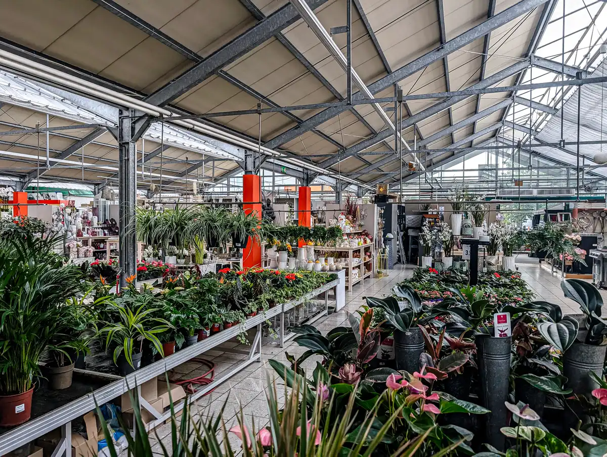 Appel_Gartenmarkt_Baumarkt_Zoomarkt_Haldensleben-Pflanzen