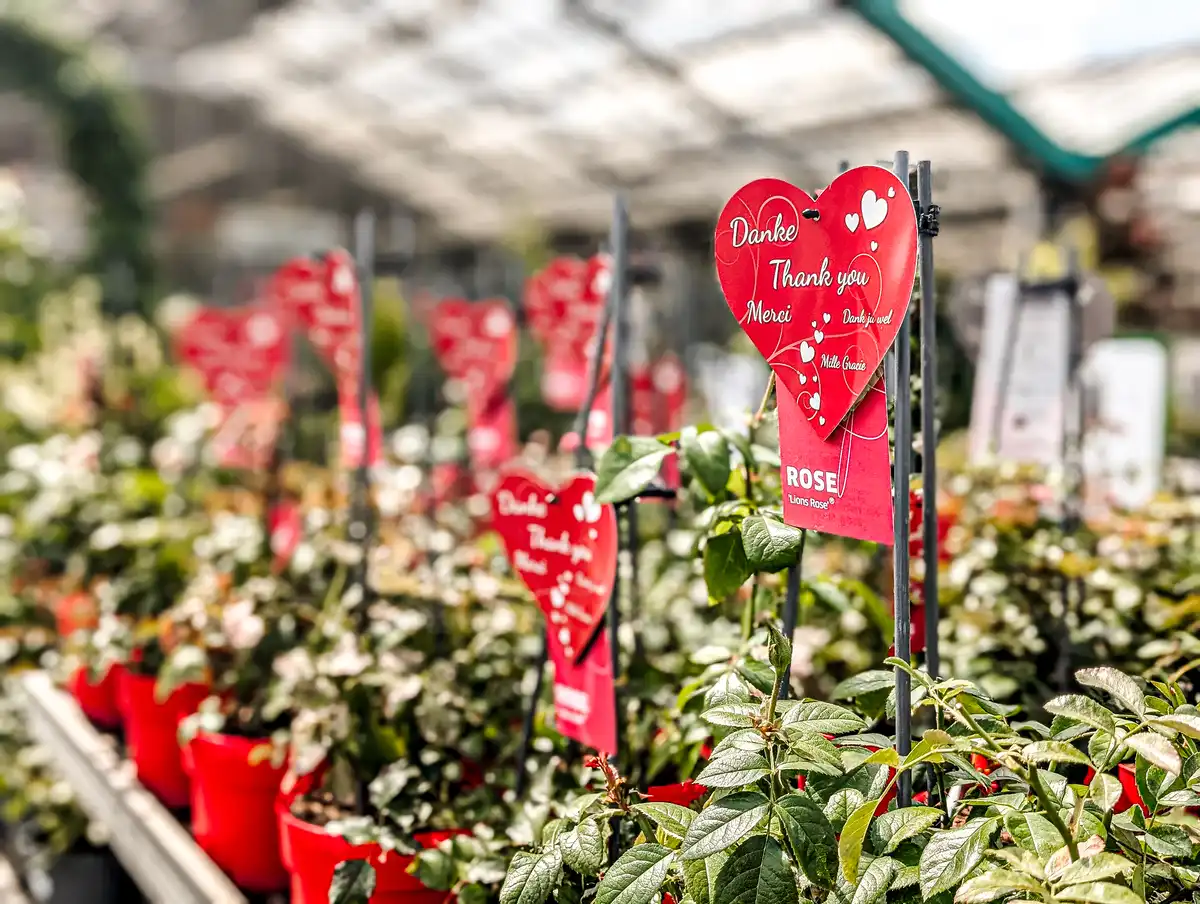 Appel_Gartenmarkt_Baumarkt_Zoomarkt_Haldensleben-Schilder-in-Herzform