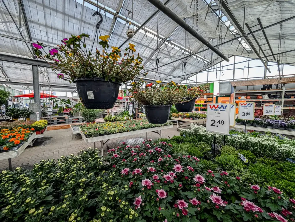 Appel_Gartenmarkt_Baumarkt_Zoomarkt_Haldensleben-Gartenpflanzen